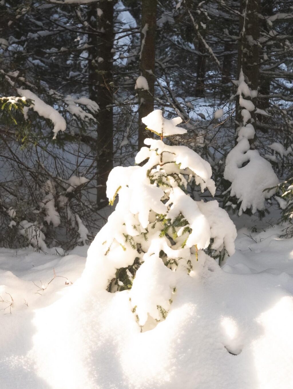 Instagram post from eliises.art. This post is in position 6.