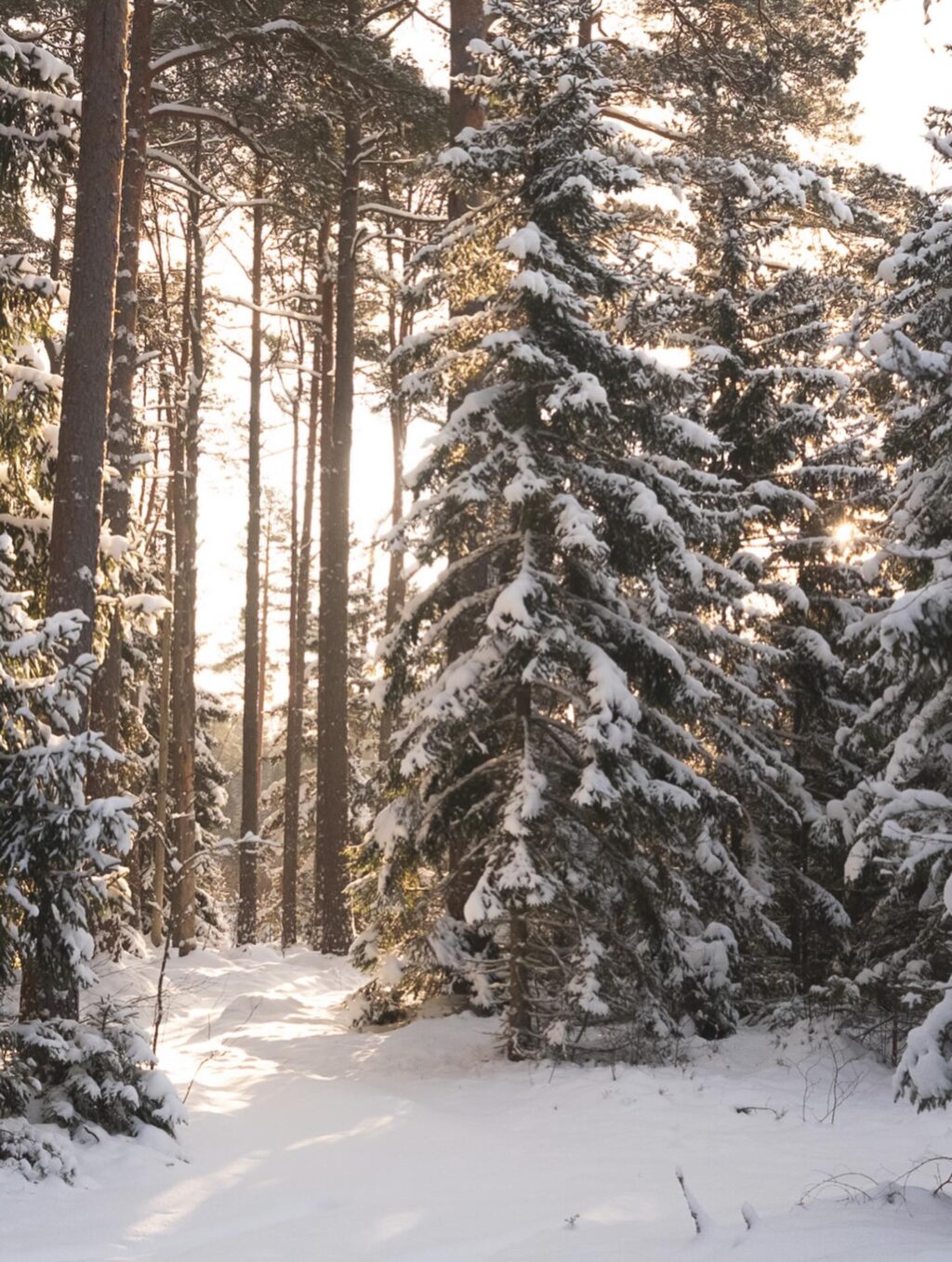 Instagram post from eliises.art. This post is in position 2.