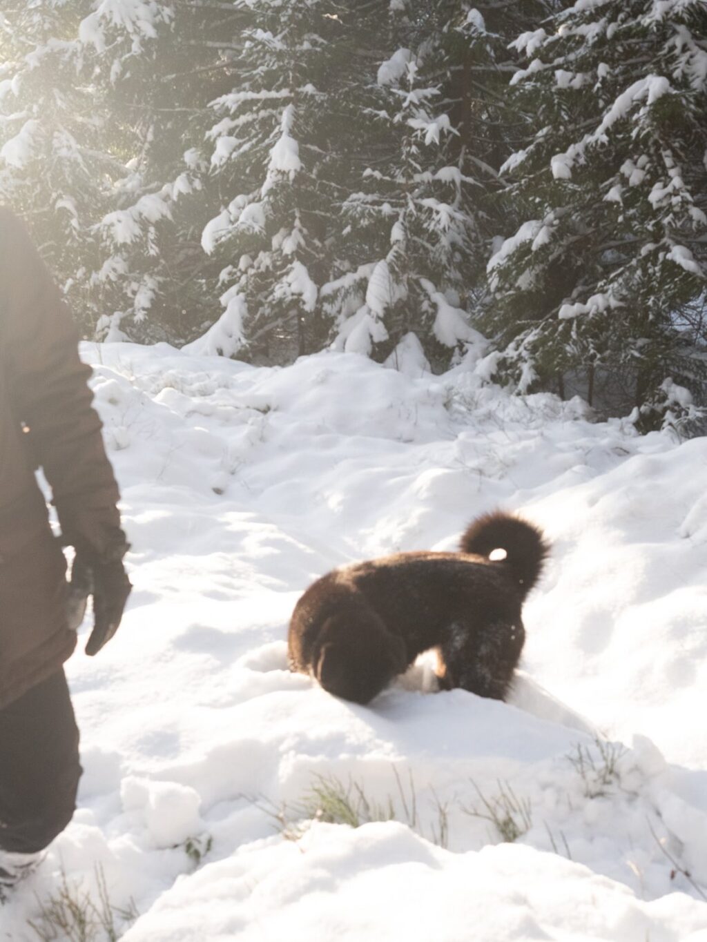 Instagram post from eliises.art. This post is in position 3.