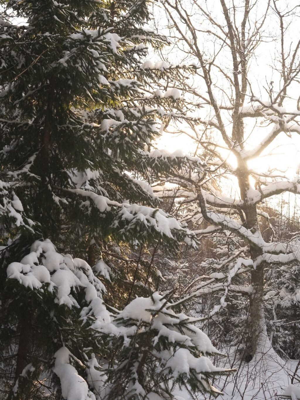 Instagram post from eliises.art. This post is in position 4.